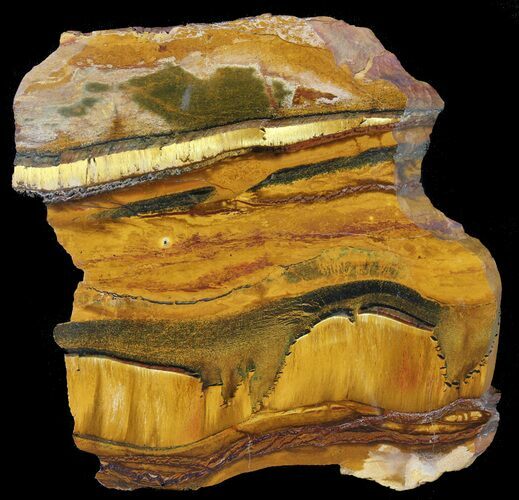 Marra Mamba Stromatolite - Mt Brockman ( Billion Years) #39196